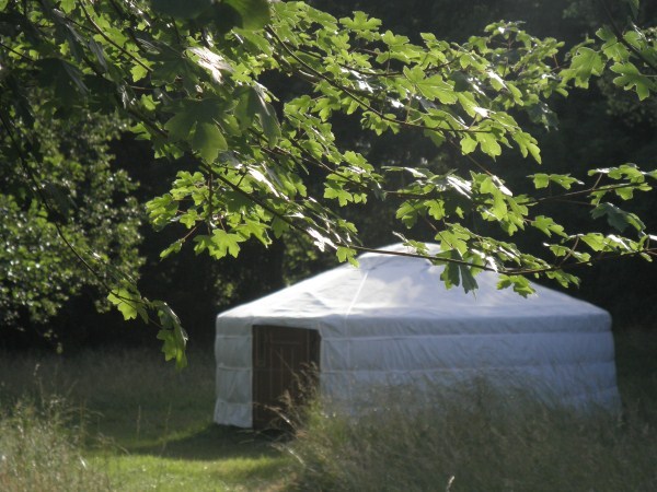 yurt through trees
